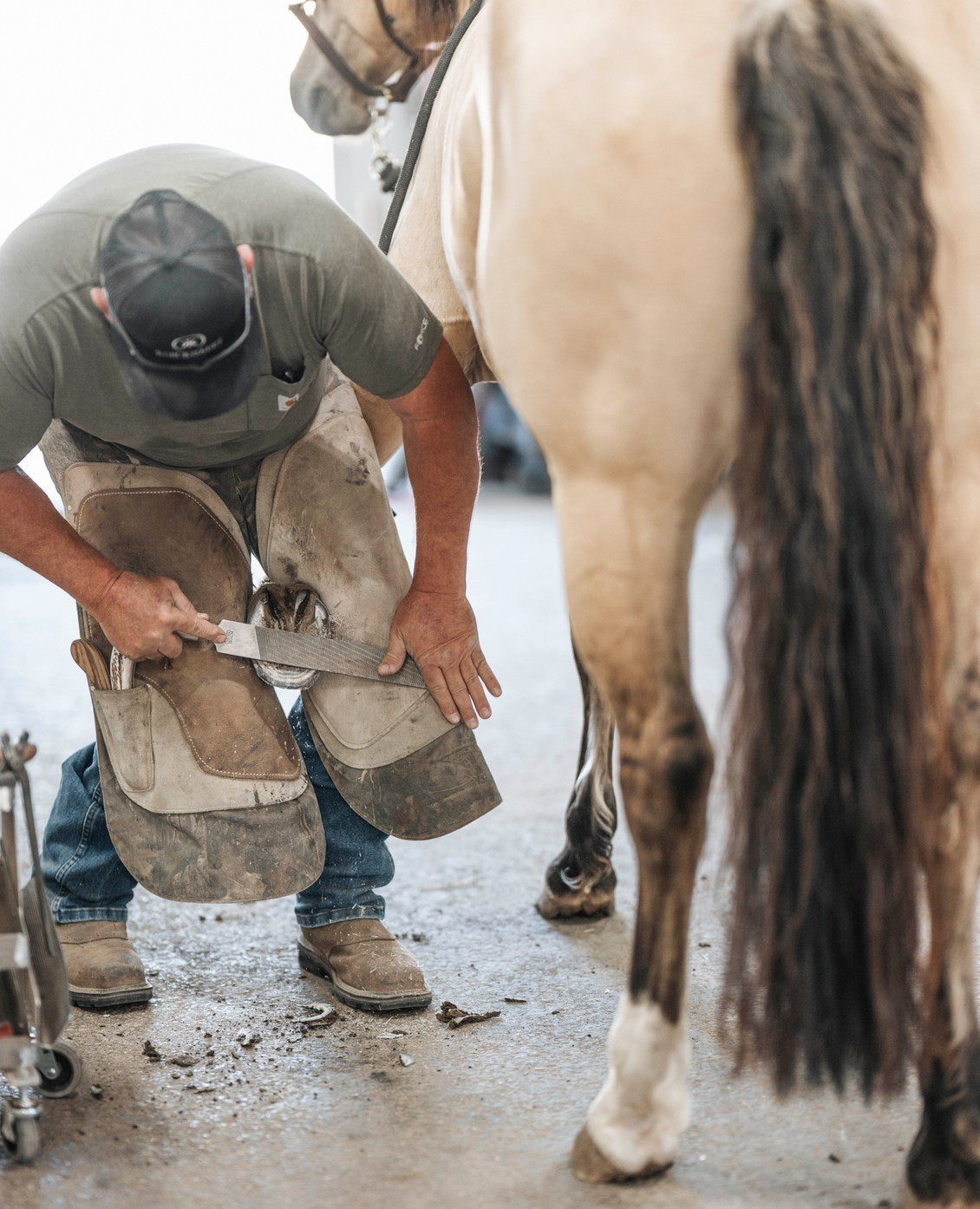 Hoof Care Essentials