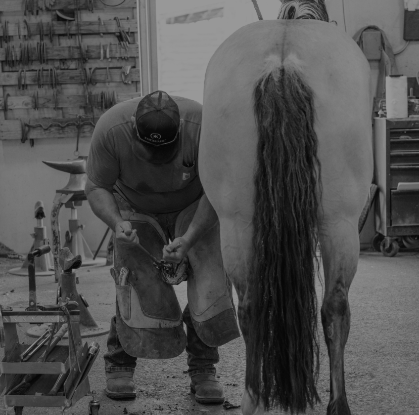 Ben Clark, owner of Overland Farrier Supply